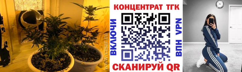 Купить закладки  Сергач  ТГК жижа 