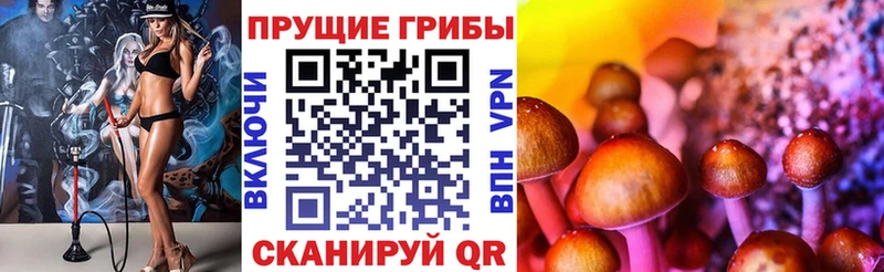Галлюциногенные грибы прущие грибы  Купить закладки  Сергач 